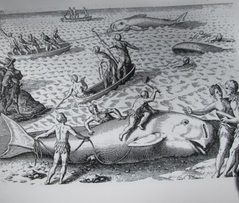 Engraving depicting European explorers, possibly in Newfoundland, witnessing Native American whaling 